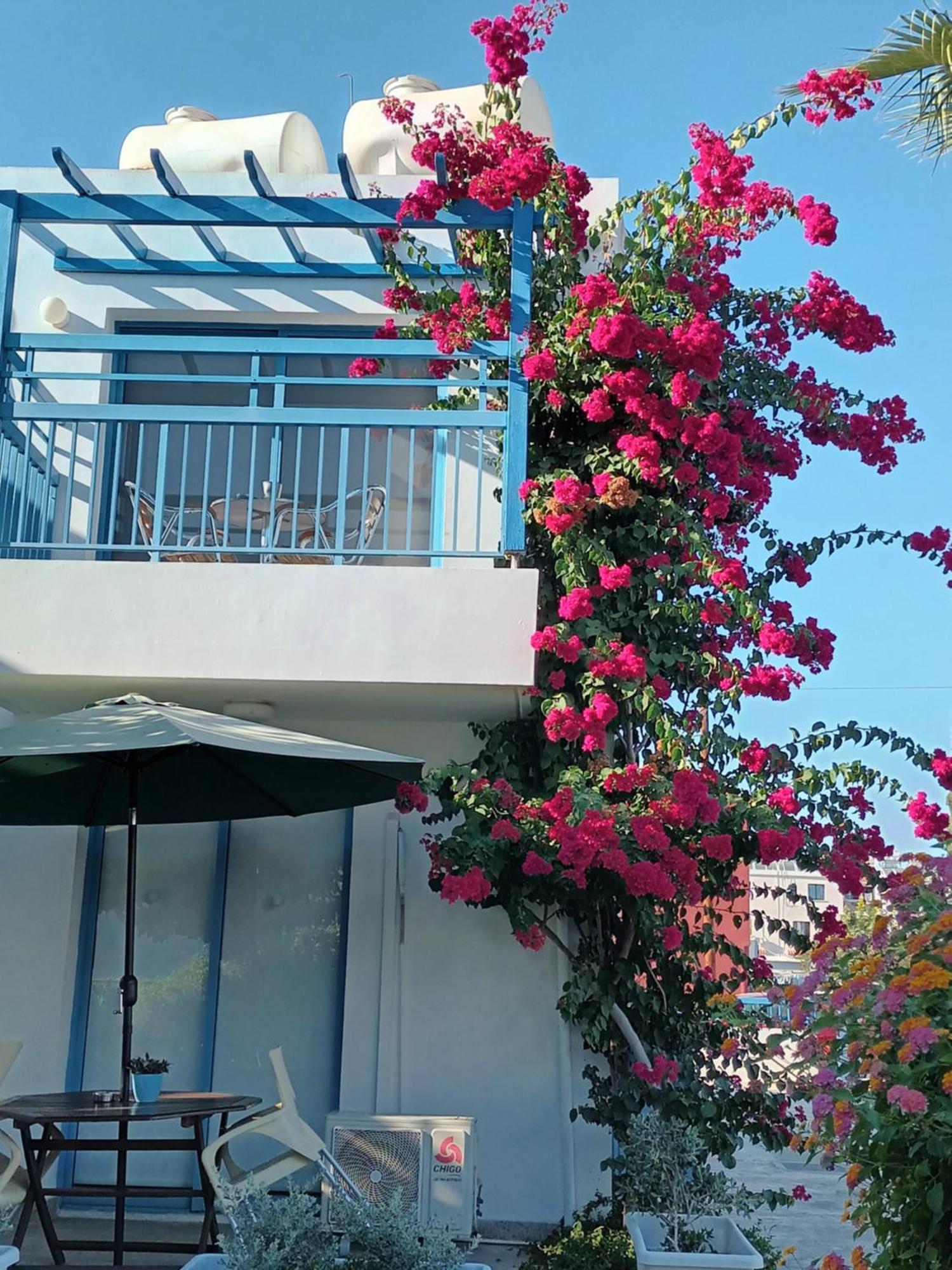 Paphos Ocean Blue Apartments מראה חיצוני תמונה